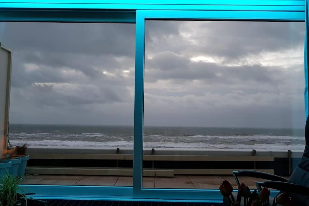 Ferienwohnung Kraaiennest Egmond aan Zee Exterior foto