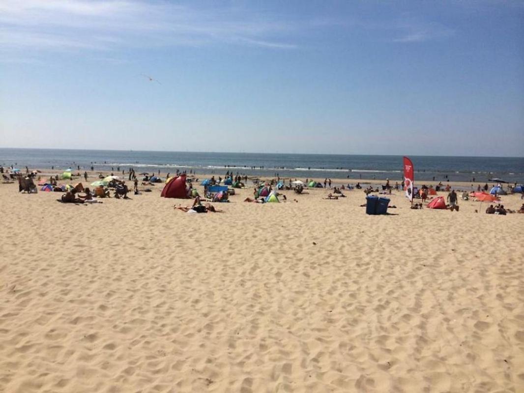 Ferienwohnung Kraaiennest Egmond aan Zee Exterior foto